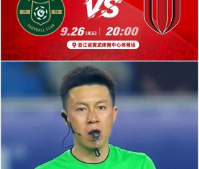 浙江队迎法甲关键赛；今晨状态回暖；话题不断；轮换策略成焦点的简单介绍-九游官网入口地址