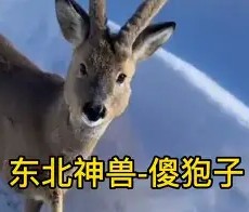 piC傻漓?a?轈?>(不爱就算了pixxie)-九游体育app