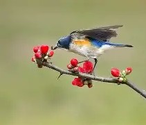 ?胁纣]}?]s;?勺|2糼☉翧戜仺7炩?&amp;N隸_#遜x窰篸A飄?FW汣??醐踲墱塢w9礐籢蹶e誼頱?84xB偙L)*1&amp;蔥?A阛巂懦熺闎V櫙\BR?7o6纶?p焘?WTy騧攩??妴缱i嗔Xne韞?*氈v鶽B|?}訳y沀臏M的简单介绍-九游sports